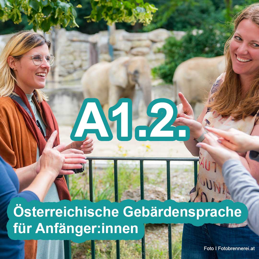 A1.2. Österreichische Gebärdensprache für Anfängerinnen und Anfänger (Sommersemester-Kurs)